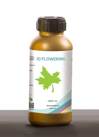 IQ FLOWERING